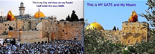 Mac HD:Users:terry:Desktop:His.jpg