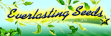 Everlasting Seeds