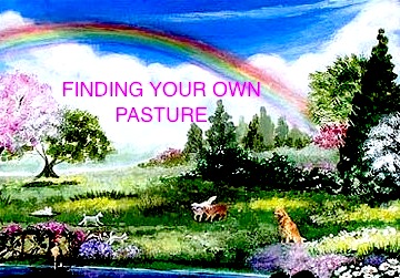Findind your pasture