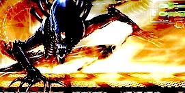 Mac is this Predators Energy source