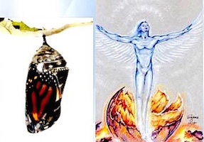 Going where no man has gone before