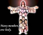 Many members, one body