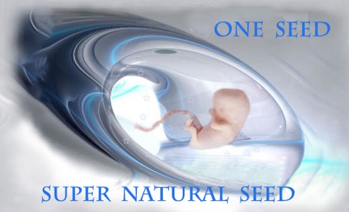 One seed - supernatural seed